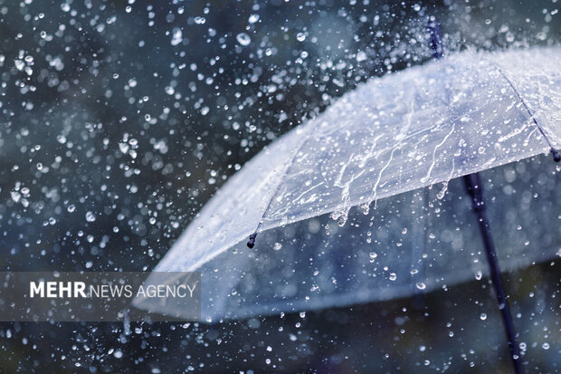 جزئیات بارش‌ها در استان بوشهر؛ وقوع بیشترین بارندگی در عسلویه