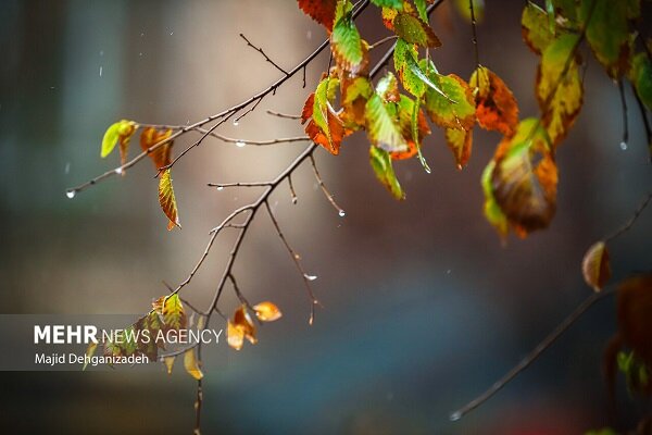 سامانه بارشی با هسته سرد وارد ایلام شد