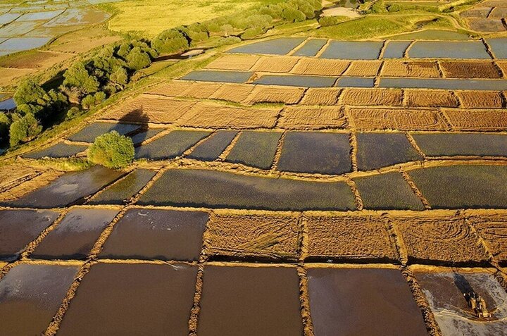 ۴۵۰ پلاک در سامانه سحاک کرمانشاه تعیین تکلیف شد