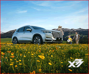 6803a973f4225fb915a12b60