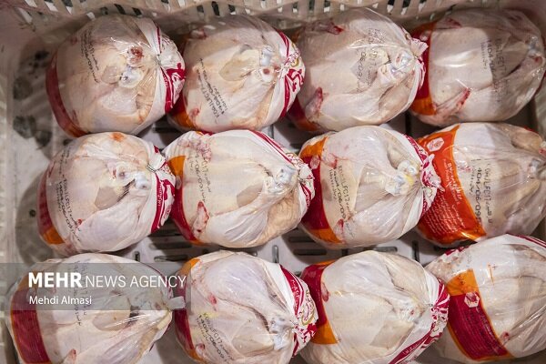 نظارت روزانه بر بازار گناباد تشدید شد؛قیمت مرغ ۱۶۵ هزار تومان